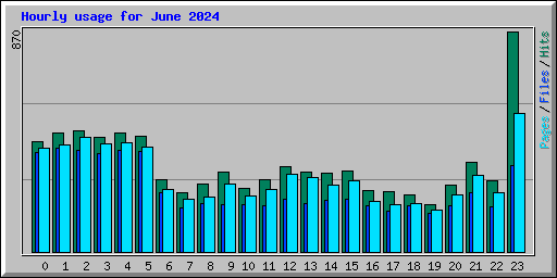 Hourly usage for June 2024