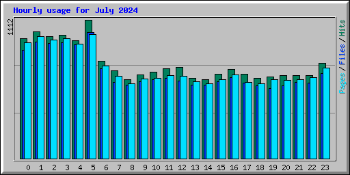 Hourly usage for July 2024